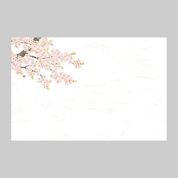 【直送】ヤマコー 尺3 花便り 桜（3月～4月）100枚入（66625）