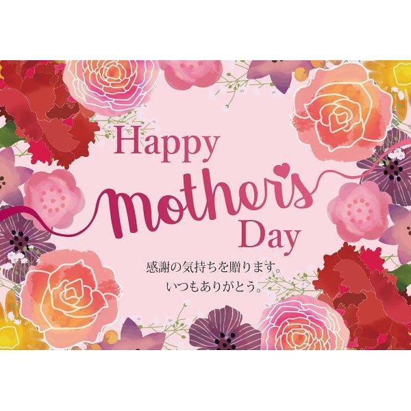 【直送】母の日 バラとスプレーカーネーションの花束【送料無料】